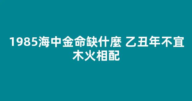 1985海中金命缺什麼 乙丑年不宜木火相配